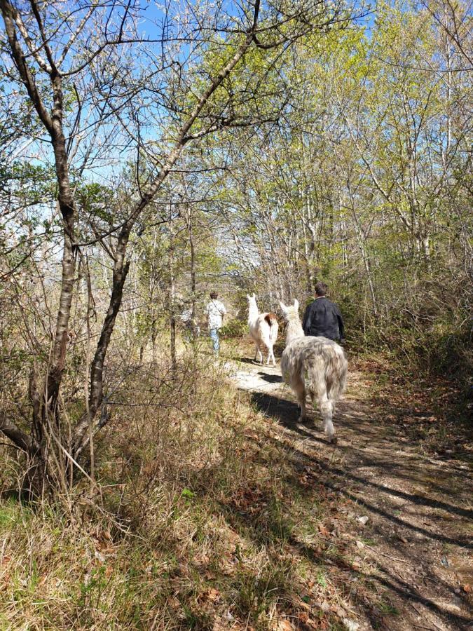 فيلا Maison Au Pied Du Parc National Des Cevennes Arre المظهر الخارجي الصورة