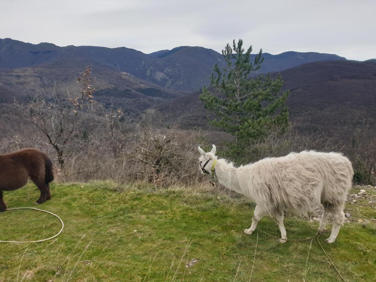 فيلا Maison Au Pied Du Parc National Des Cevennes Arre المظهر الخارجي الصورة